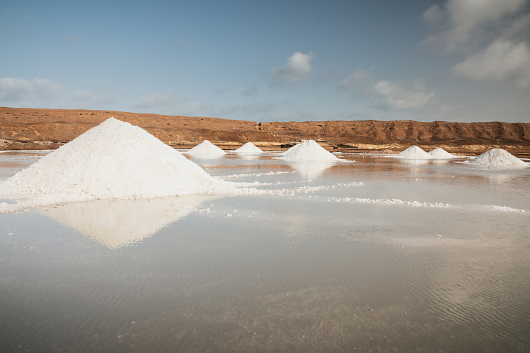 Flowers of Salt (Fleur de Sel) 100g La Plantation - Obrázek 5